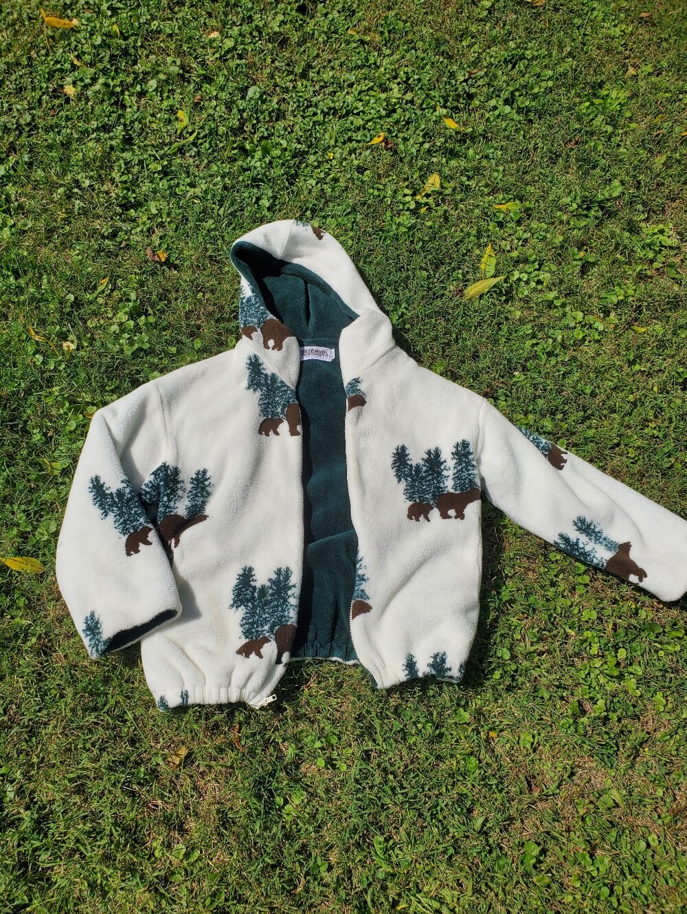 Teddy Bear Hoodie - Picture 5 of 5
